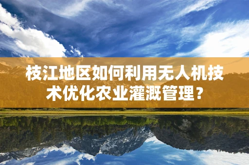 枝江地区如何利用无人机技术优化农业灌溉管理？