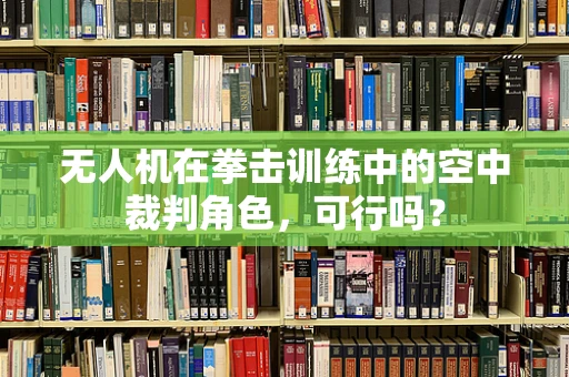 无人机在拳击训练中的空中裁判角色，可行吗？