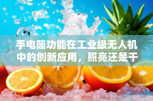 手电筒功能在工业级无人机中的创新应用，照亮还是干扰？