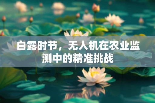 白露时节，无人机在农业监测中的精准挑战