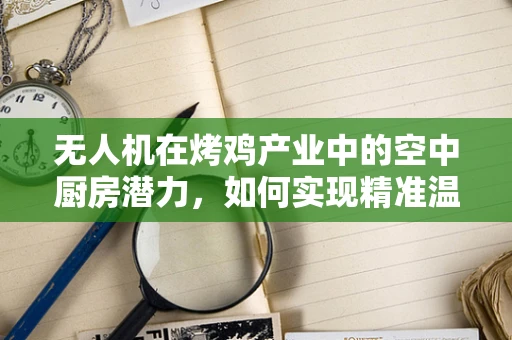 无人机在烤鸡产业中的空中厨房潜力，如何实现精准温控与高效配送？