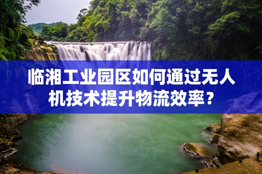 临湘工业园区如何通过无人机技术提升物流效率？