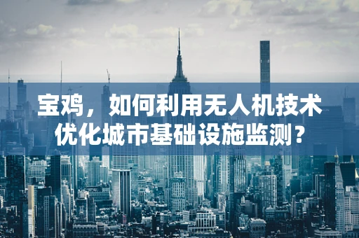 宝鸡，如何利用无人机技术优化城市基础设施监测？