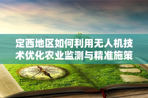 定西地区如何利用无人机技术优化农业监测与精准施策？