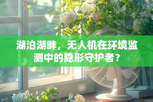 湖泊湖畔，无人机在环境监测中的隐形守护者？