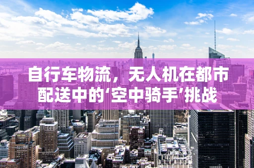 自行车物流，无人机在都市配送中的‘空中骑手’挑战