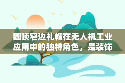 圆顶窄边礼帽在无人机工业应用中的独特角色，是装饰还是功能？