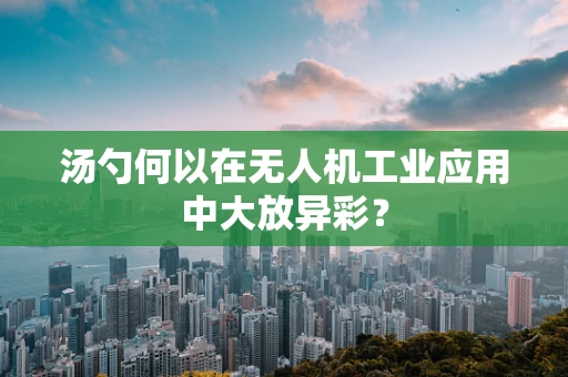 汤勺何以在无人机工业应用中大放异彩？