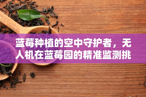 蓝莓种植的空中守护者，无人机在蓝莓园的精准监测挑战