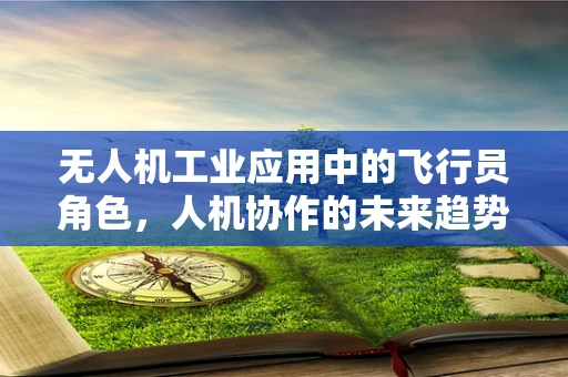 无人机工业应用中的飞行员角色，人机协作的未来趋势？