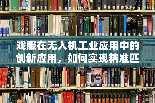 戏服在无人机工业应用中的创新应用，如何实现精准匹配与高效换装？