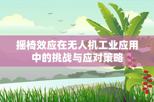 摇椅效应在无人机工业应用中的挑战与应对策略