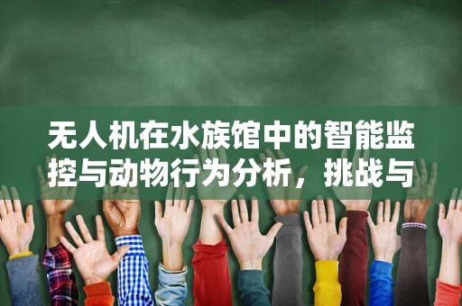 无人机在水族馆中的智能监控与动物行为分析，挑战与机遇并存？