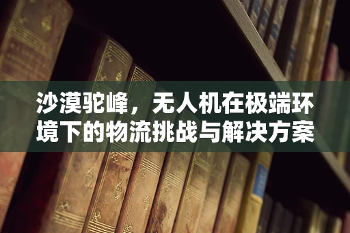 沙漠驼峰，无人机在极端环境下的物流挑战与解决方案？