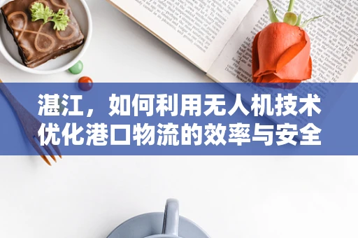 湛江，如何利用无人机技术优化港口物流的效率与安全？