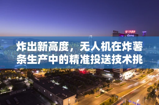 炸出新高度，无人机在炸薯条生产中的精准投送技术挑战