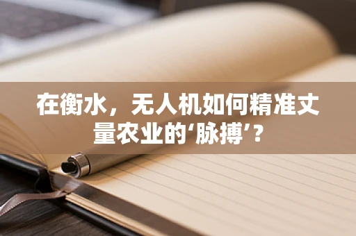 在衡水，无人机如何精准丈量农业的‘脉搏’？