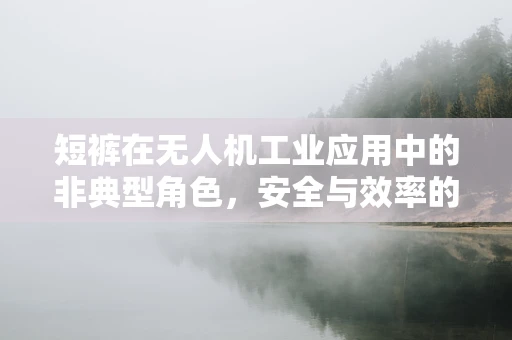 短裤在无人机工业应用中的非典型角色，安全与效率的平衡