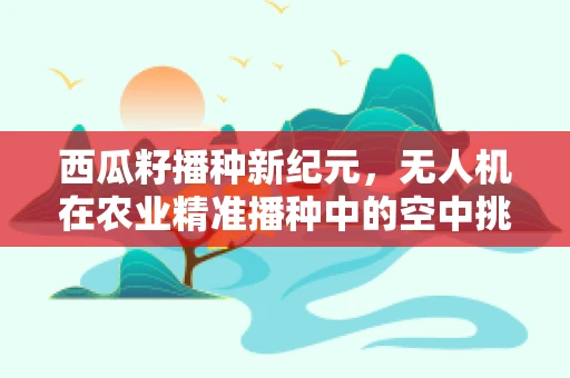 西瓜籽播种新纪元，无人机在农业精准播种中的空中挑战