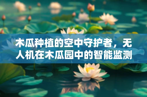 木瓜种植的空中守护者，无人机在木瓜园中的智能监测应用？