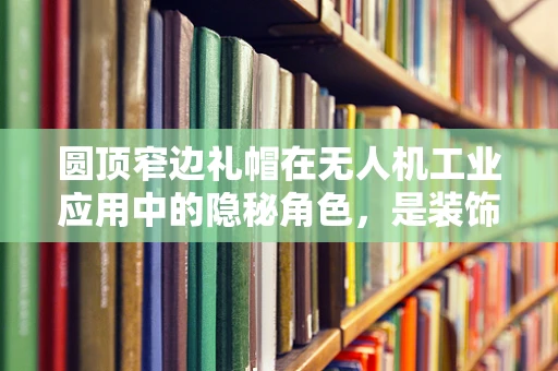 圆顶窄边礼帽在无人机工业应用中的隐秘角色，是装饰还是功能？