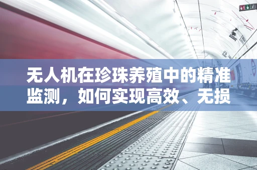 无人机在珍珠养殖中的精准监测，如何实现高效、无损的珍珠饰品质监控？