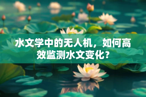 水文学中的无人机，如何高效监测水文变化？