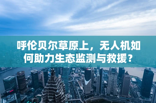 呼伦贝尔草原上，无人机如何助力生态监测与救援？