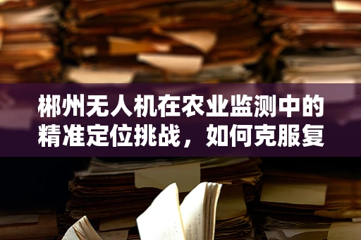 郴州无人机在农业监测中的精准定位挑战，如何克服复杂地形影响？