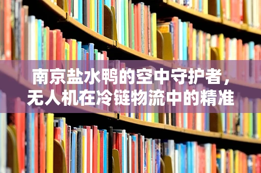 南京盐水鸭的空中守护者，无人机在冷链物流中的精准温控挑战