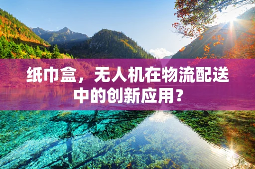 纸巾盒，无人机在物流配送中的创新应用？