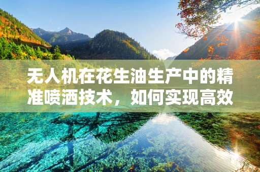 无人机在花生油生产中的精准喷洒技术，如何实现高效、均匀的喷洒？