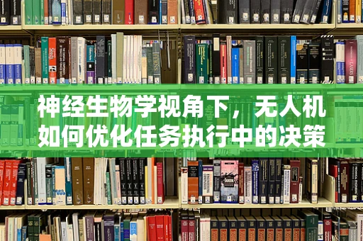 神经生物学视角下，无人机如何优化任务执行中的决策过程？