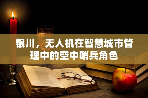 银川，无人机在智慧城市管理中的空中哨兵角色