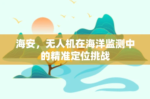 海安，无人机在海洋监测中的精准定位挑战