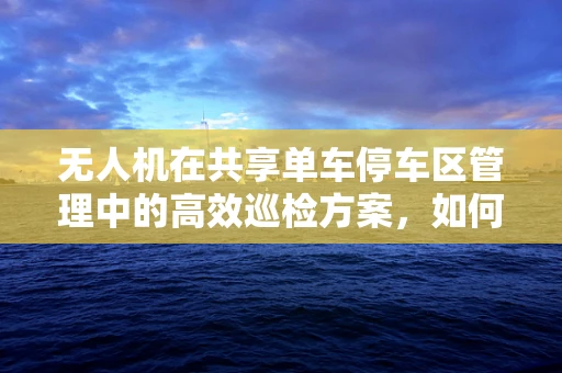 无人机在共享单车停车区管理中的高效巡检方案，如何实现精准定位与智能调度？