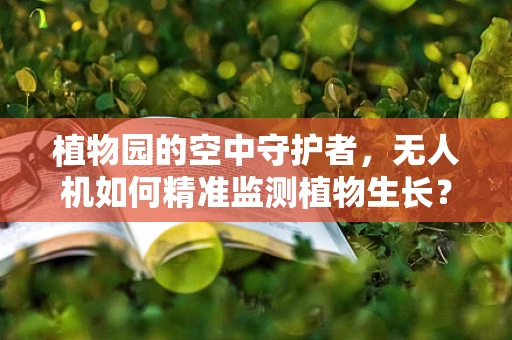 植物园的空中守护者，无人机如何精准监测植物生长？