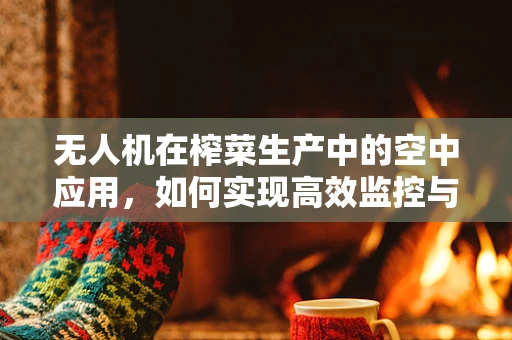 无人机在榨菜生产中的空中应用，如何实现高效监控与精准配送？