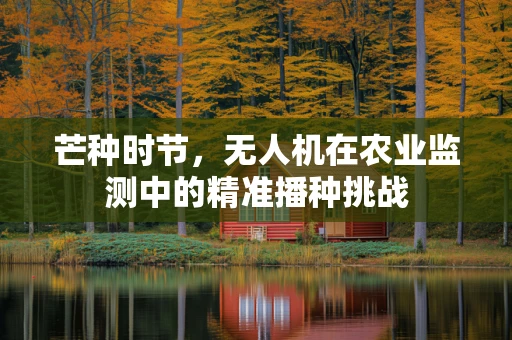 芒种时节，无人机在农业监测中的精准播种挑战