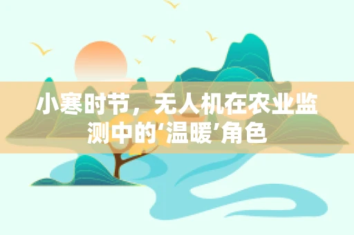 小寒时节，无人机在农业监测中的‘温暖’角色