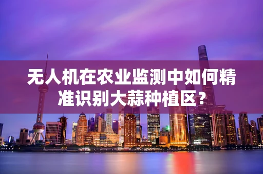 无人机在农业监测中如何精准识别大蒜种植区？