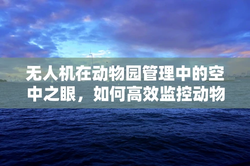 无人机在动物园管理中的空中之眼，如何高效监控动物行为？