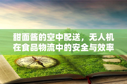 甜面酱的空中配送，无人机在食品物流中的安全与效率挑战