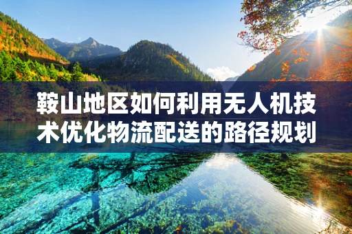 鞍山地区如何利用无人机技术优化物流配送的路径规划？