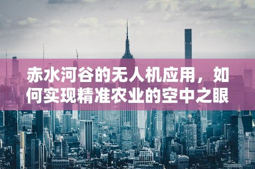 赤水河谷的无人机应用，如何实现精准农业的空中之眼？