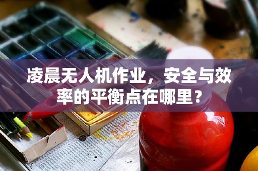 凌晨无人机作业，安全与效率的平衡点在哪里？