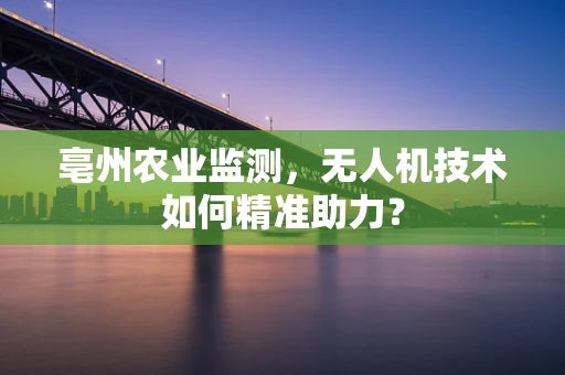 亳州农业监测，无人机技术如何精准助力？