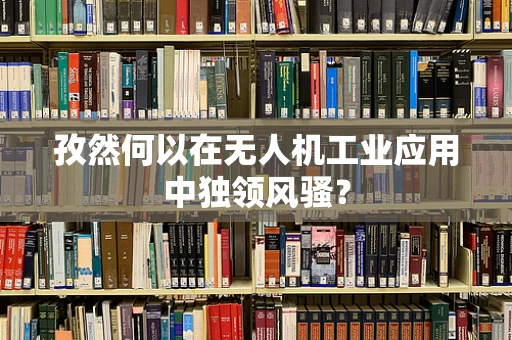 孜然何以在无人机工业应用中独领风骚？