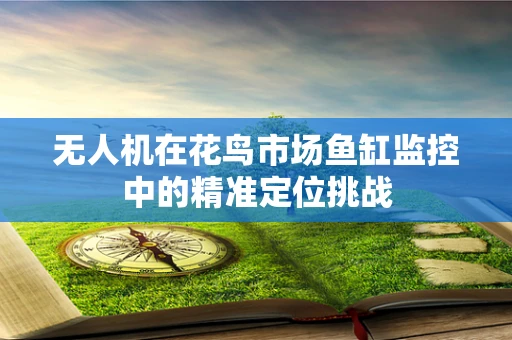 无人机在花鸟市场鱼缸监控中的精准定位挑战