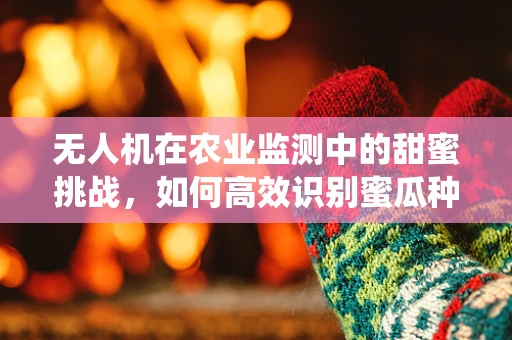 无人机在农业监测中的甜蜜挑战，如何高效识别蜜瓜种植区的病虫害？